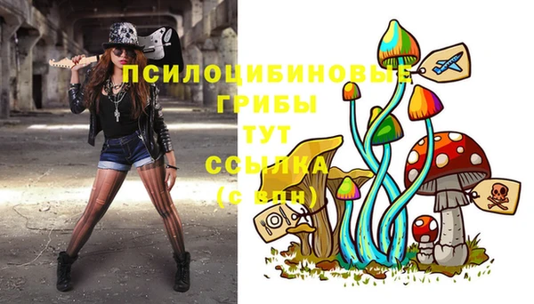 spice Алексин