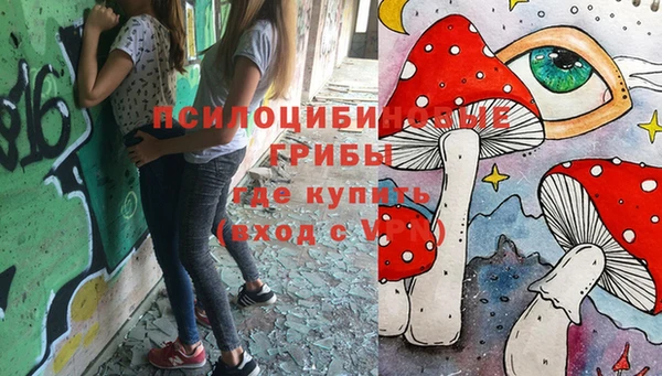 spice Алексин