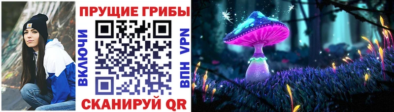наркотики  Новомичуринск  Галлюциногенные грибы прущие грибы 